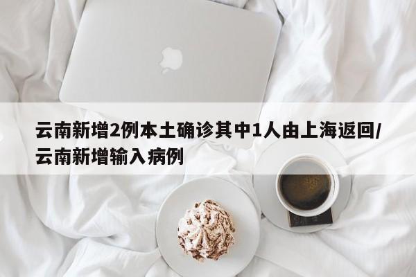 云南新增2例本土确诊其中1人由上海返回/云南新增输入病例