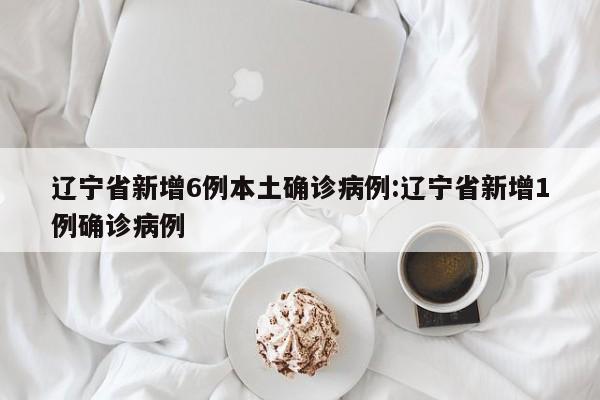 辽宁省新增6例本土确诊病例:辽宁省新增1例确诊病例