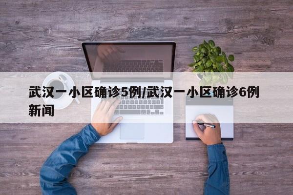 武汉一小区确诊5例/武汉一小区确诊6例 新闻