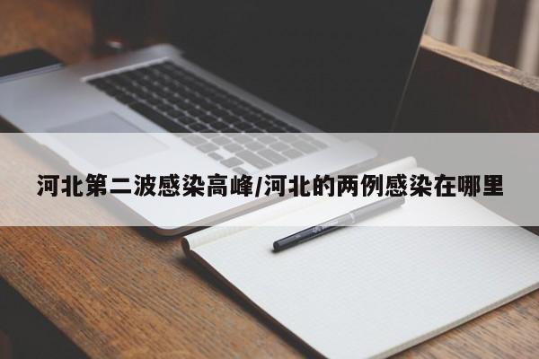 河北第二波感染高峰/河北的两例感染在哪里