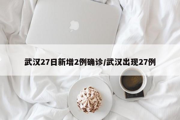 武汉27日新增2例确诊/武汉出现27例