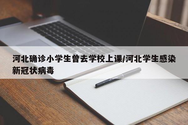 河北确诊小学生曾去学校上课/河北学生感染新冠状病毒